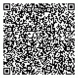 vCard 79397713179