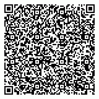vCard 79397713239