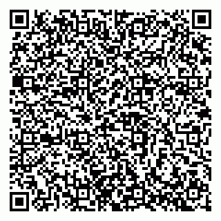 vCard 79397713253