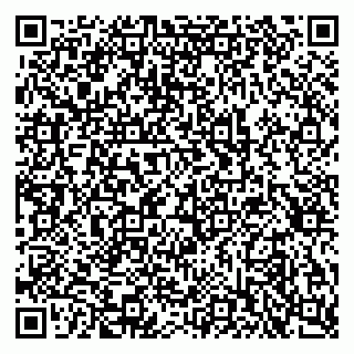 vCard 79397713267