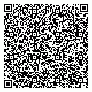 vCard 79397713270