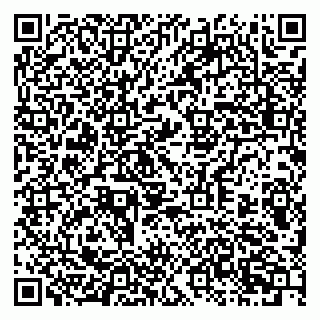 vCard 79397713281