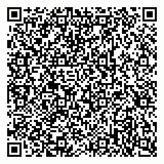 vCard 79397713289