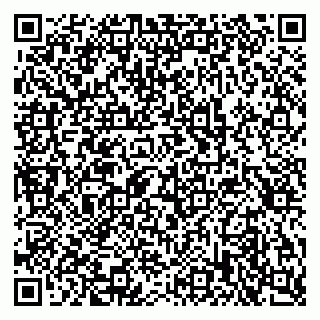 vCard 79397713295