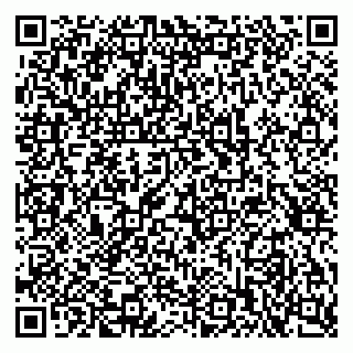 vCard 79397713301