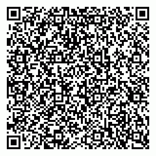 vCard 79397713304