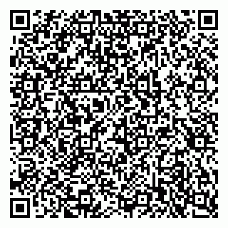 vCard 79397713315