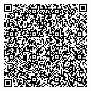 vCard 79397713324