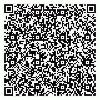 vCard 79397713331