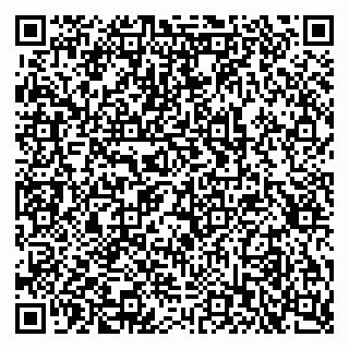 vCard 79397713333
