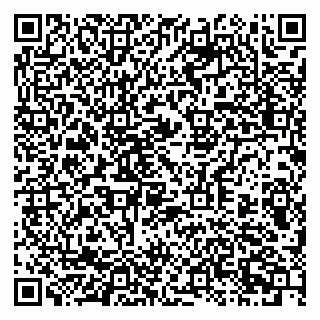 vCard 79397713335