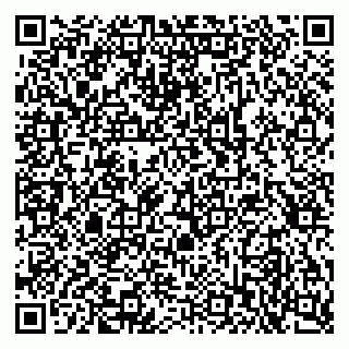 vCard 79397713339