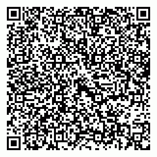 vCard 79397713351