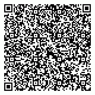 vCard 79397713379