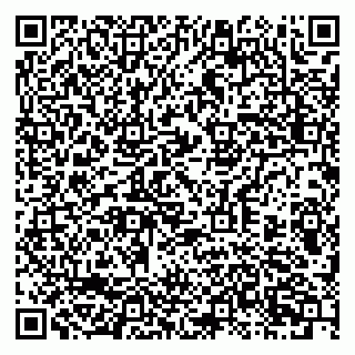 vCard 79397713381