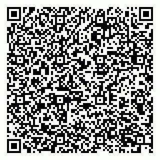 vCard 79397713382