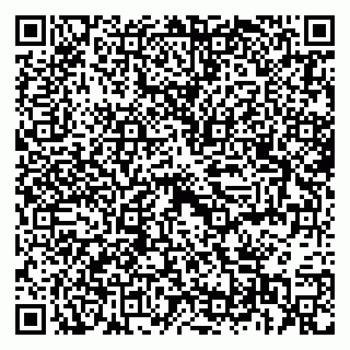 vCard 79397713399