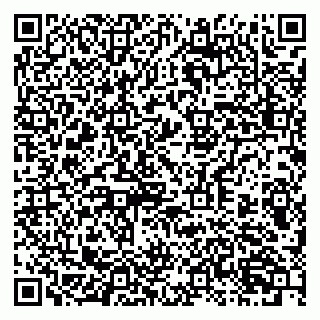 vCard 79397713403