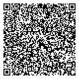 vCard 79397713408