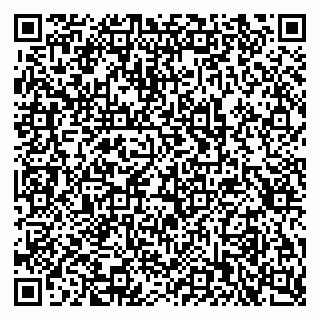 vCard 79397713413