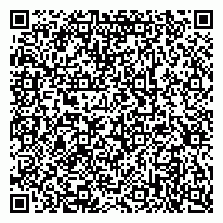 vCard 79397713499