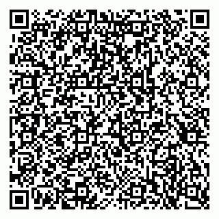 vCard 79397713729