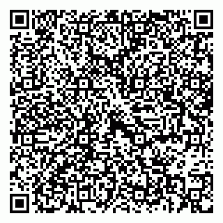 vCard 79397713741