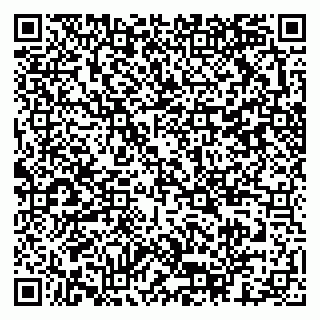 vCard 79397713789