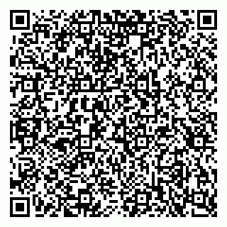 vCard 79397713803