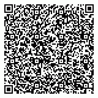 vCard 79397713823