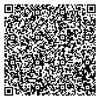 vCard 79397713861