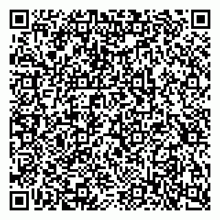 vCard 79397713874