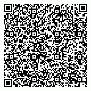 vCard 79397713879