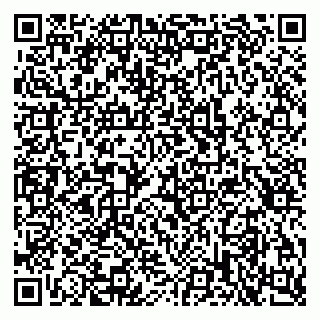 vCard 79397713881