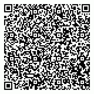 vCard 79397713888