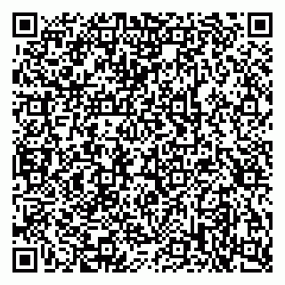 vCard 79397713889