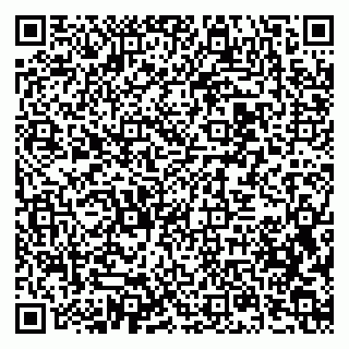 vCard 79397713920