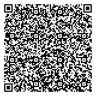 vCard 79397713981