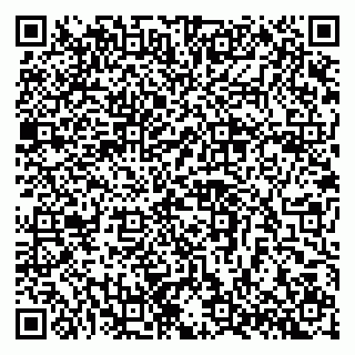 vCard 79397713984