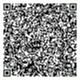 vCard 79397714085