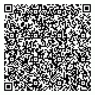vCard 79397714099