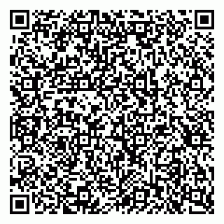 vCard 79397714131
