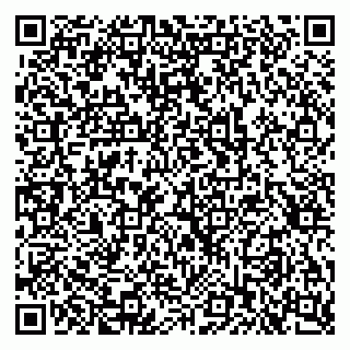vCard 79397714132