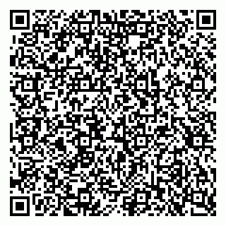 vCard 79397714333