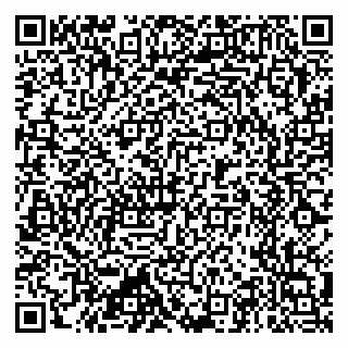vCard 79397715093