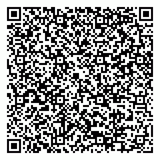 vCard 79397715099