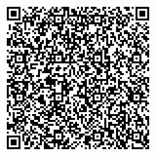 vCard 79397715131