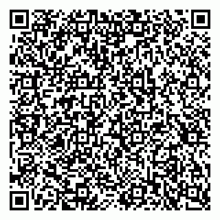 vCard 79397715133