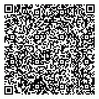 vCard 79397715163