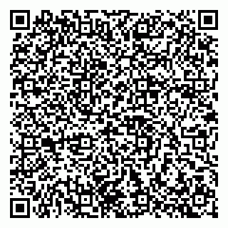 vCard 79397715203